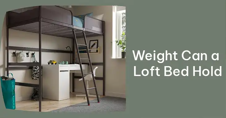 How Much Weight Can a Loft Bed Hold